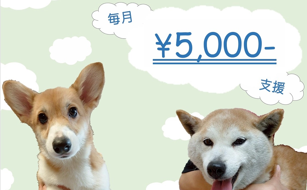 毎月5000円コース