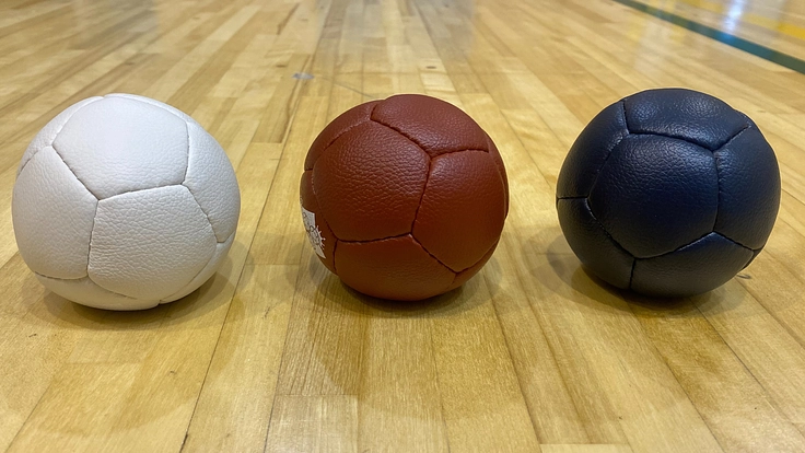 宮城県ボッチャ協会の普及拡大のためボッチャ用具を購入