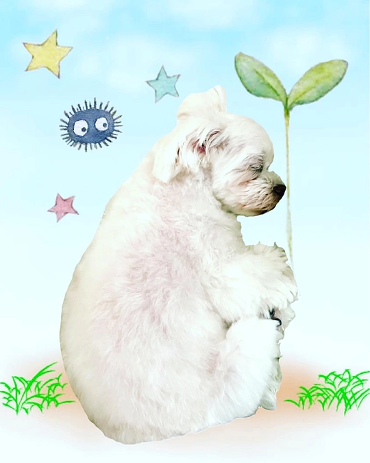 リターンについて(்꒳்)