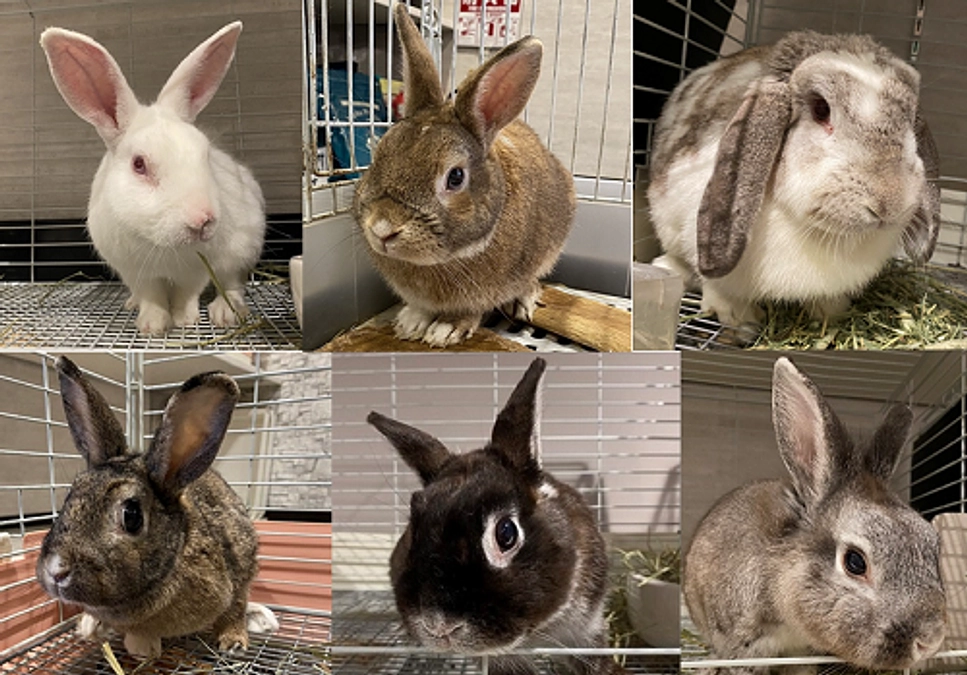 ご支援有難うございます。開設以降(2022年7月21日)からの活動報告です。