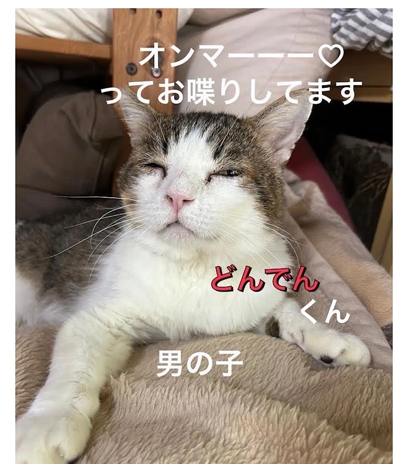 命名権コースにてご支援を頂いてましたが名前決まりました【続編】