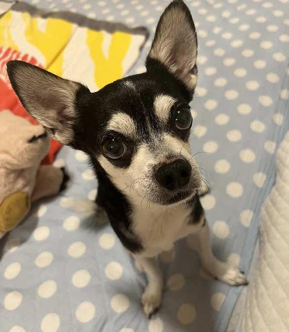 クラウドファンディング残り19日‼︎