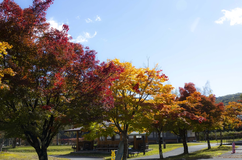 【残り2日】皆さまの熱い想いを未来へ！温かい応援メッセージを胸に最後まで頑張ります。