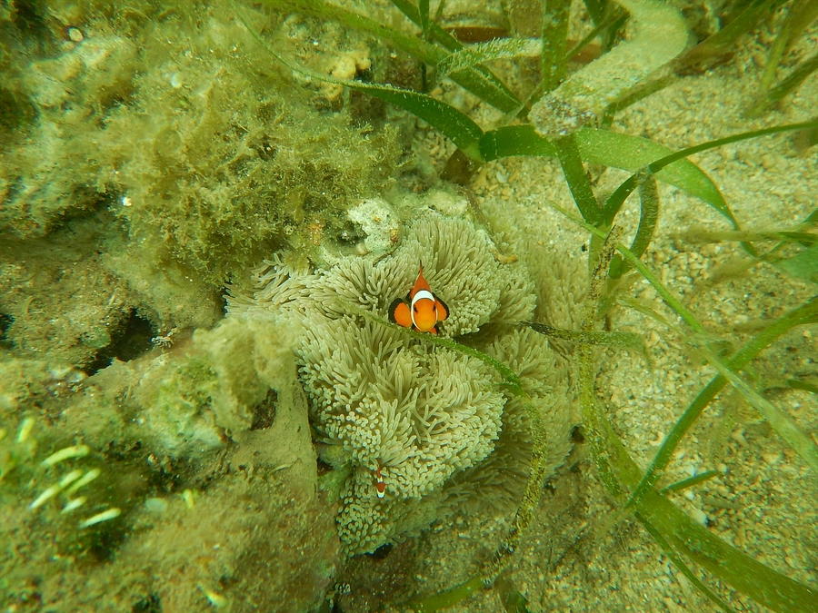 月に一度の定点観察です