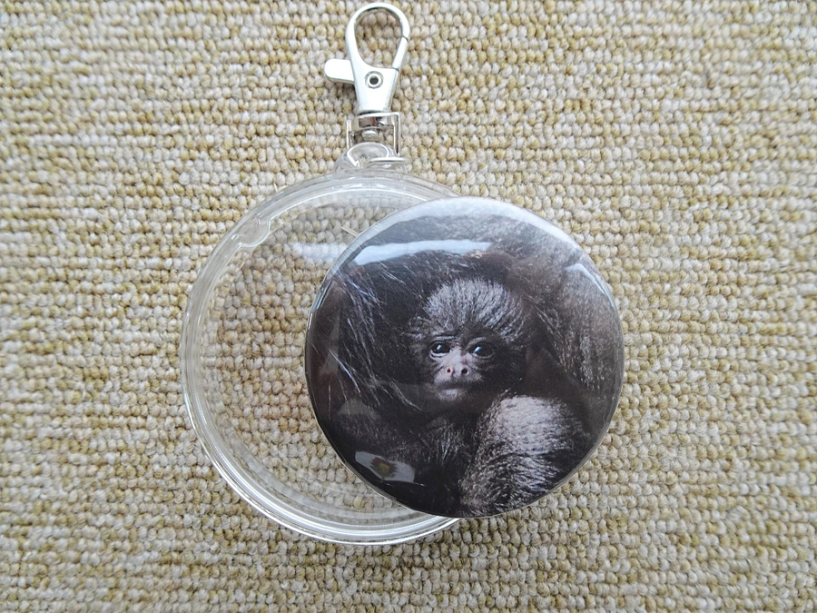 おすすめリターン紹介⑦　【CF限定】ウーリーモンキーの赤ちゃん缶バッチ