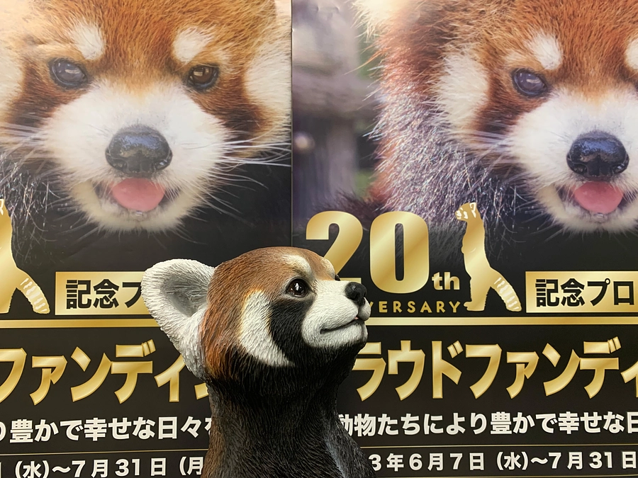 ついに登場！！