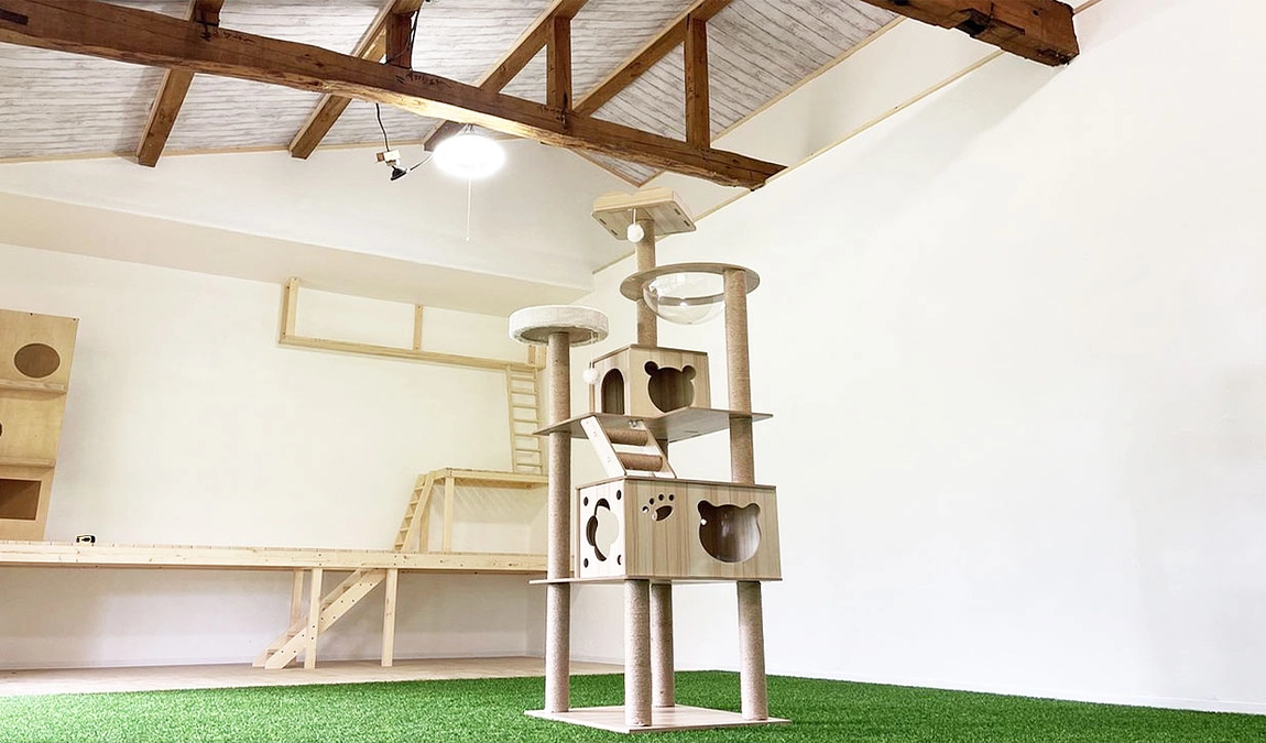 新シェルターお披露目動画