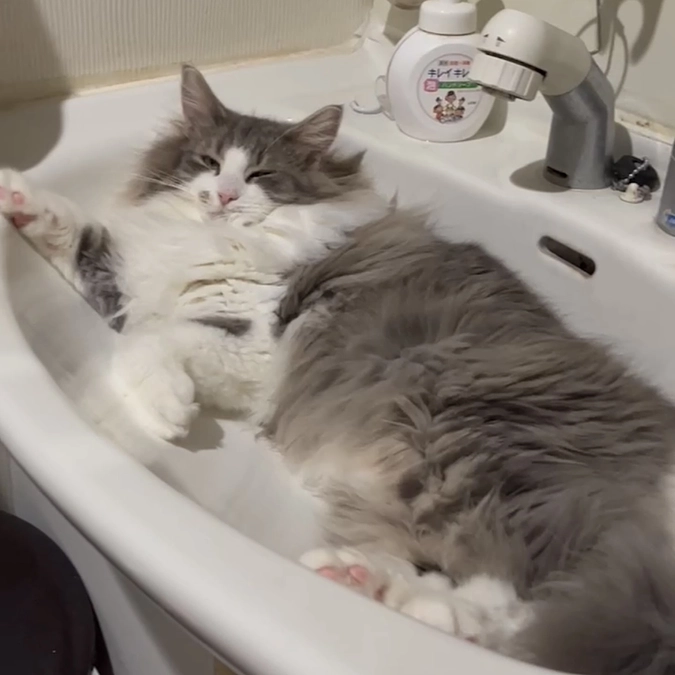 クラウドファウンディング開始のご挨拶