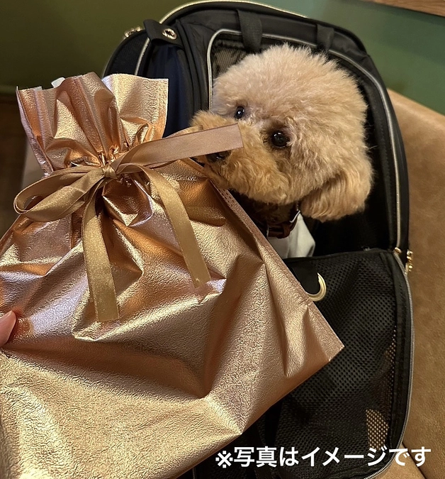 リターンを追加しました！