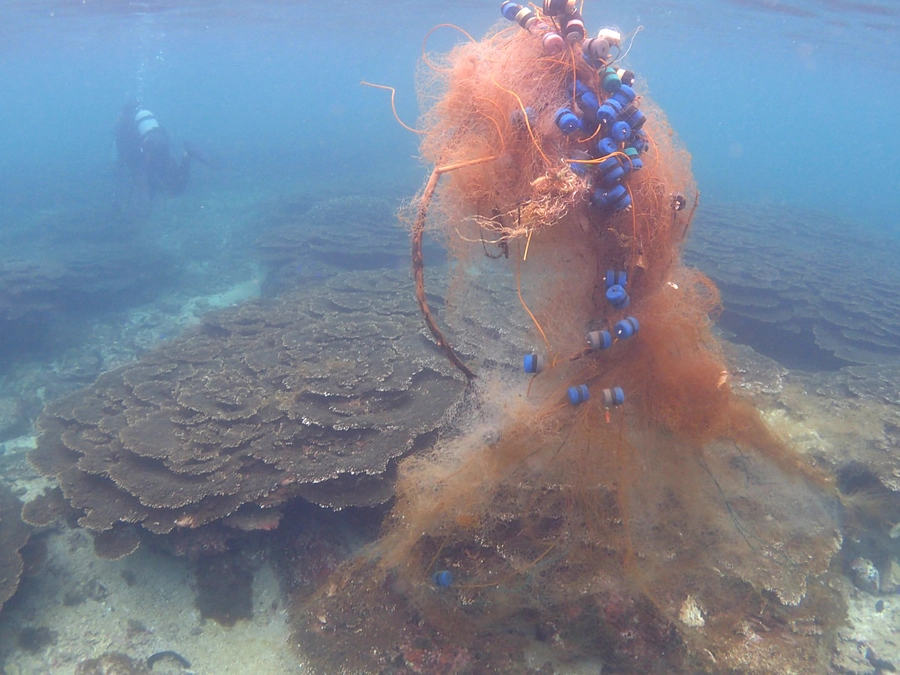 先週10月16日、串本の海にはサンゴに絡む漁網が！