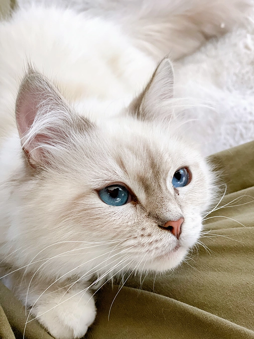 【お正月休みが始まりました。ゆっくり体調を見てあげようと思います！】