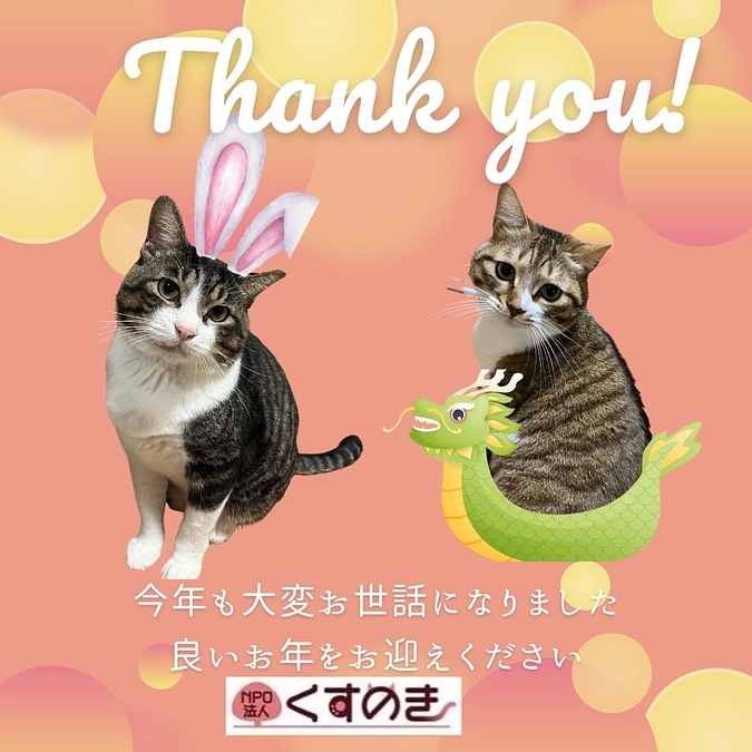 2023年、本当にありがとうございました！