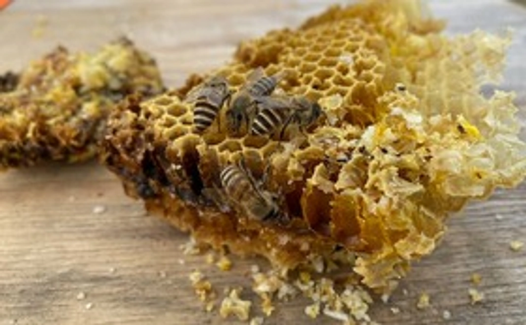 日本蜜蜂養蜂をもっと身近に！誰もが簡単に扱える巣箱リフターを作る