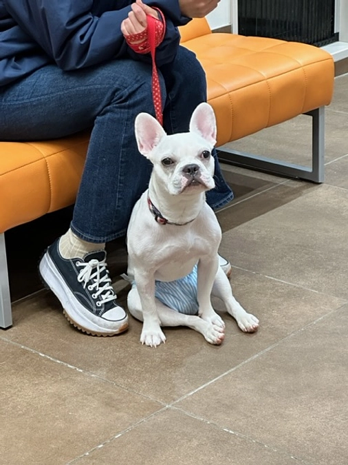 残り17日となりました