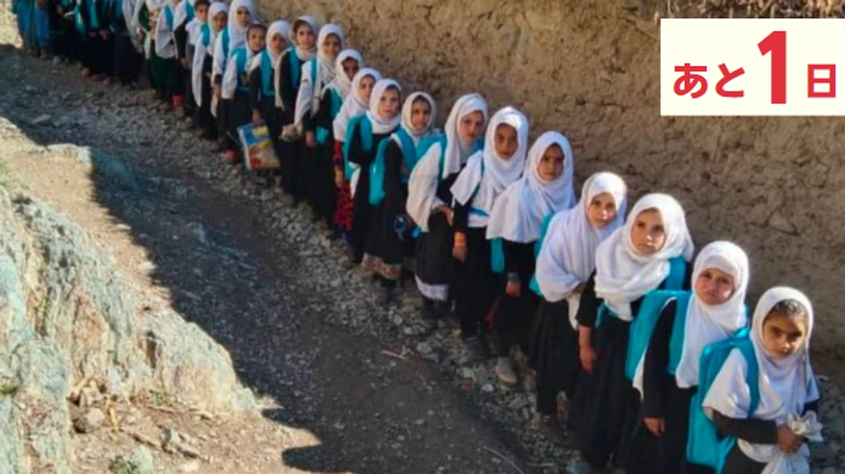 【あと1日】プロジェクト支援者応援コメント紹介③