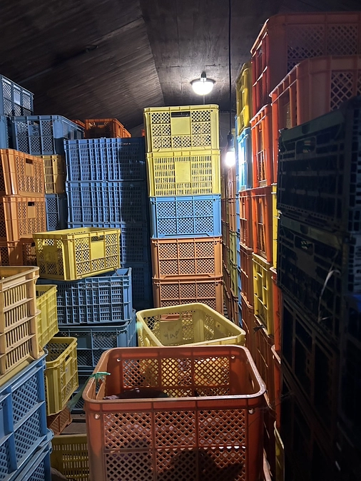 サツマイモの行方は