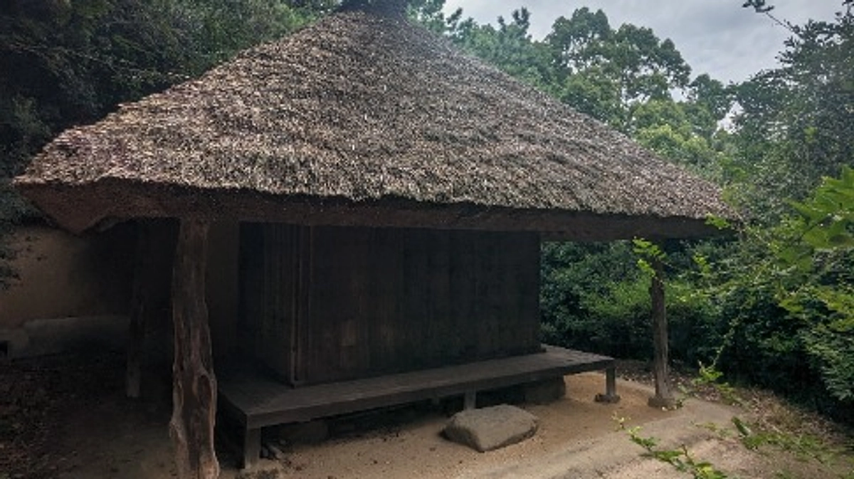 挑戦開始から1週間が経過しました！