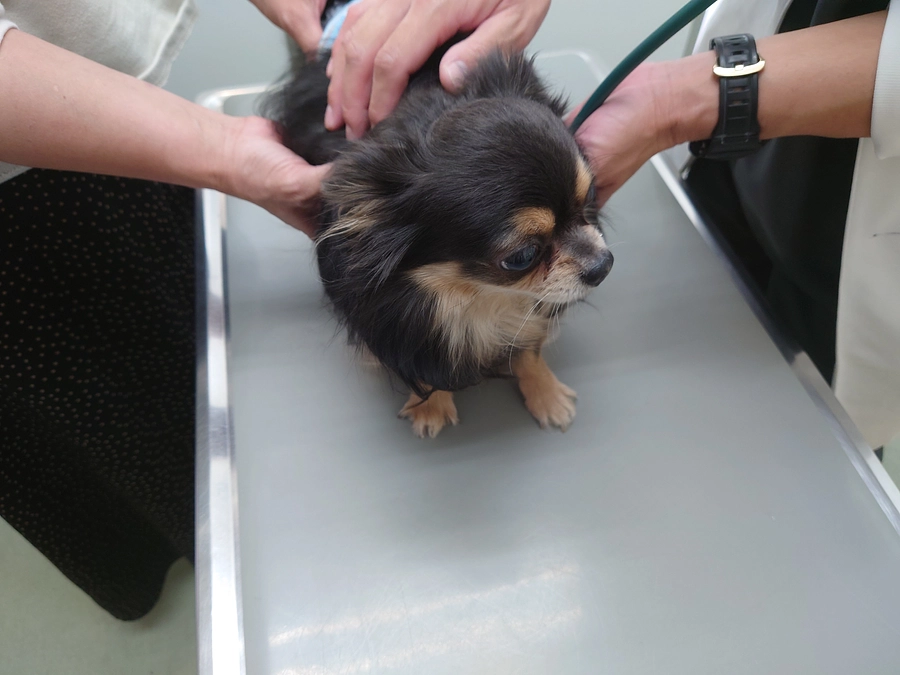 10月23日の検査結果