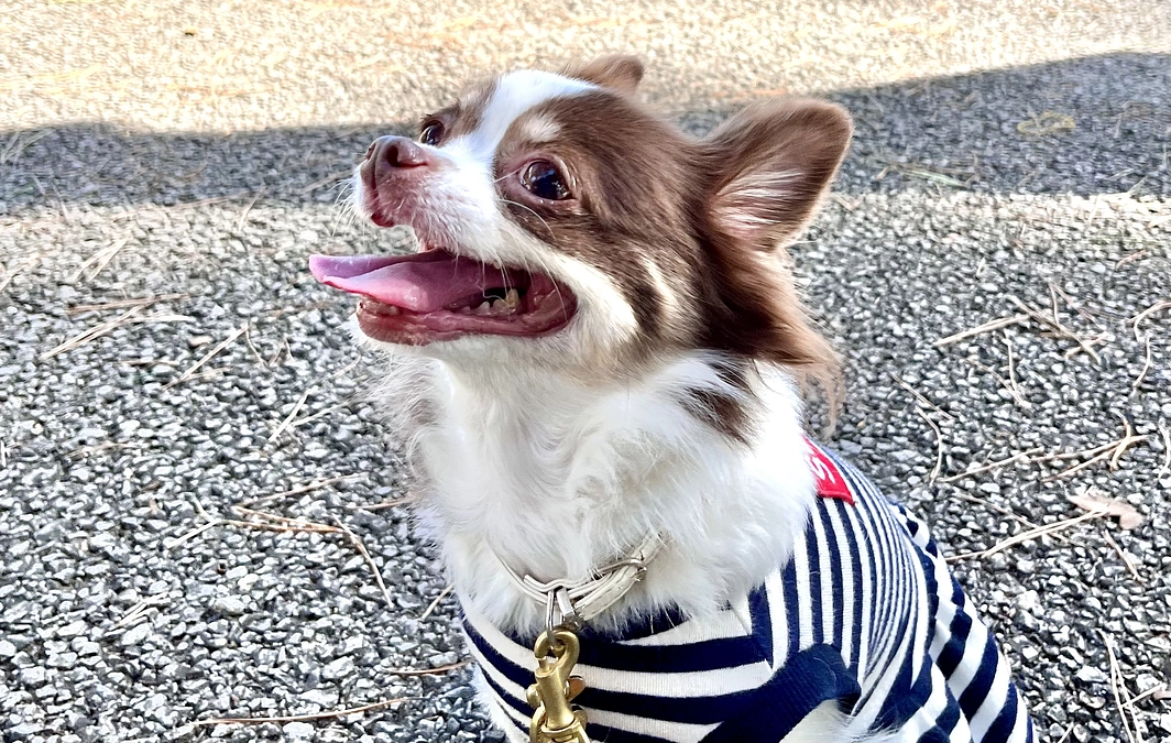 2024.01.19 プロジェクトを達成する事が出来ました😢❗