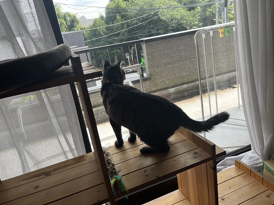 ホリエモン君と矢沢心ちゃんのお届けでした