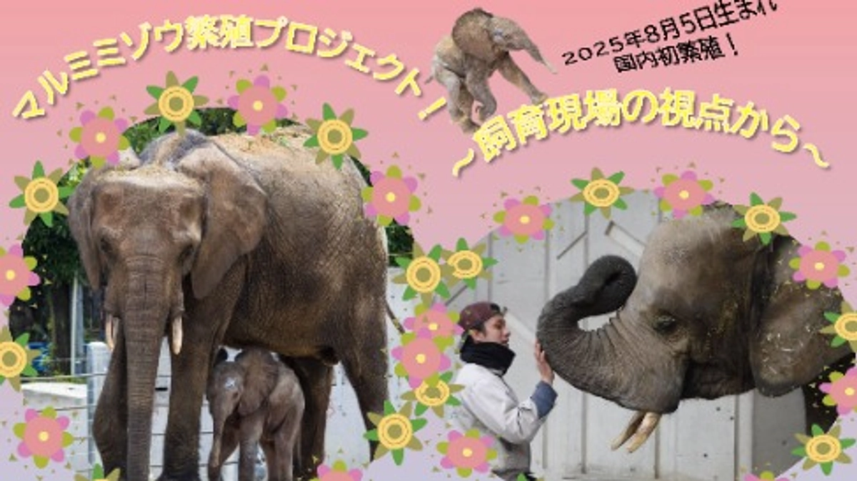 高知県の「和の森わんぱーくこうちアニマルランド」で当園のゾウ担当が講演を行います。