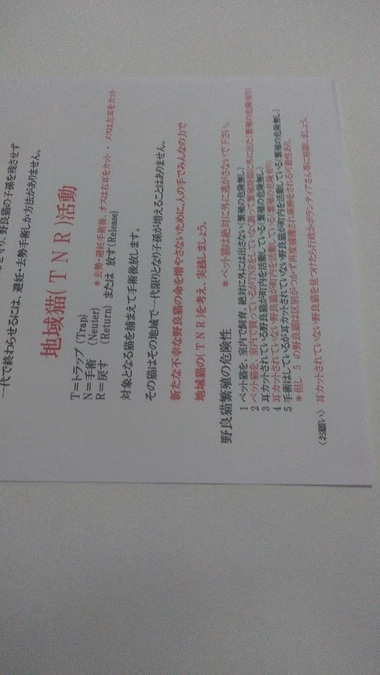 支援者様へお礼のメッセージ