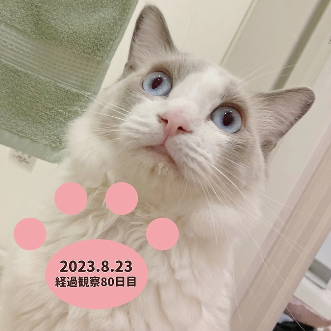 経過観察80日目(2023.8.23)