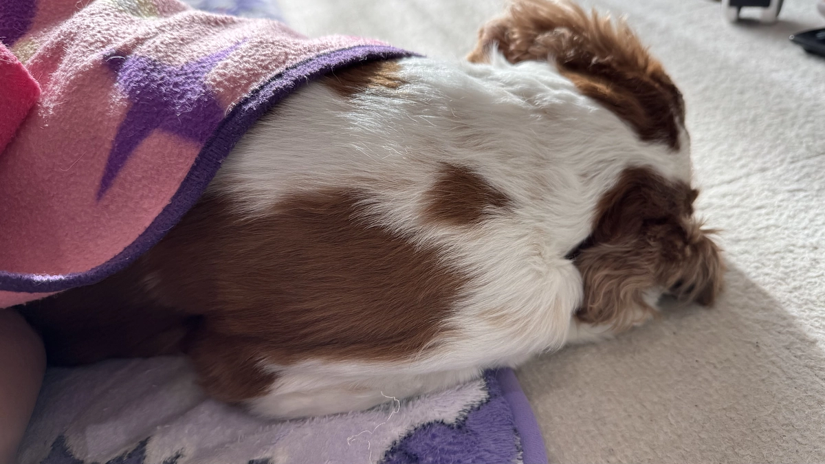 初めての！【22日目】