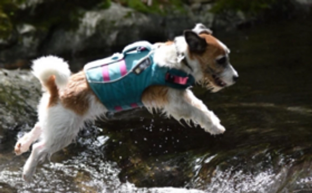 サポートコース|毎月1000円