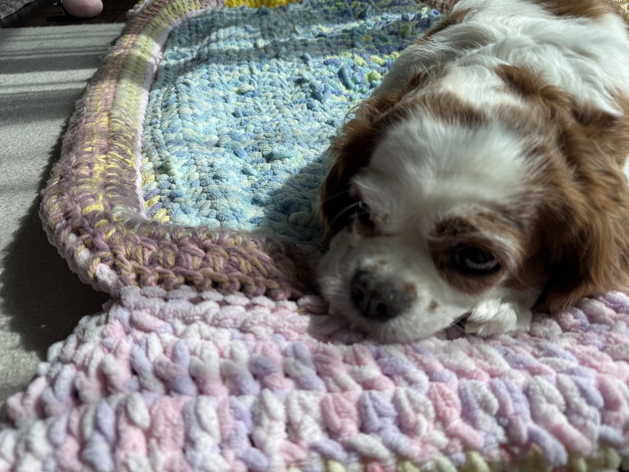 みなさまのお気持ちがとても嬉しいです✨【47日目】