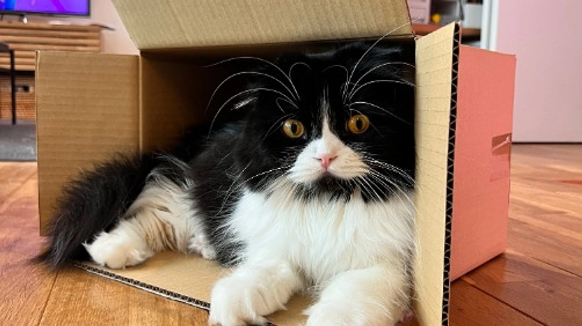 残り3日。達成率54％、あと41万8千円が必要です。