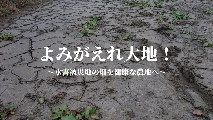 台風被害から復興へ。水没して使えなくなった農地を復活させたい