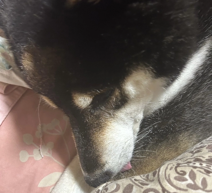 抗がん剤治療中断