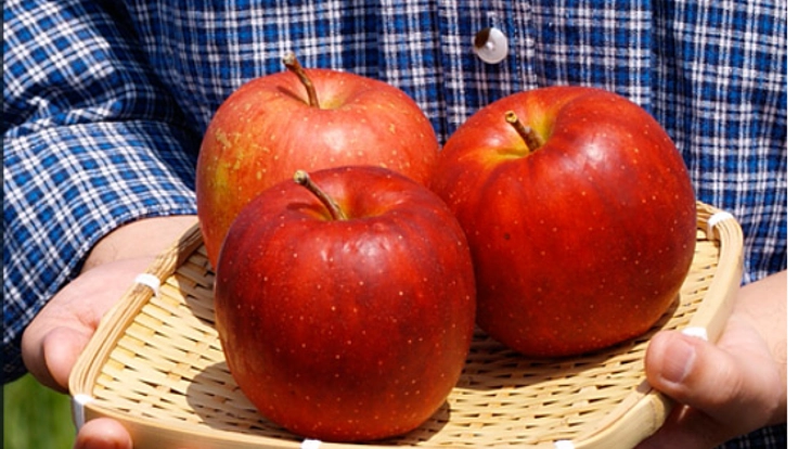青森からまっ赤な農薬不使用りんごを全国の皆さまにお届けしたい