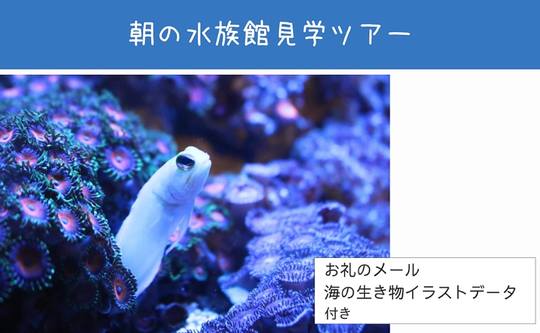 【リターン紹介】体験で応援｜朝の水族館見学ツアー