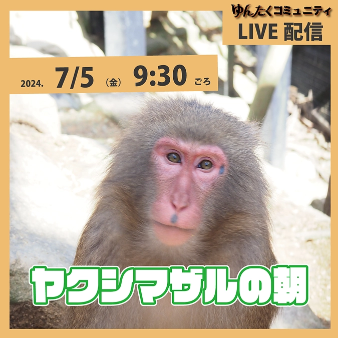 ゆんたくコミュニティ限定ライブ配信「ヤクシマザルの朝」