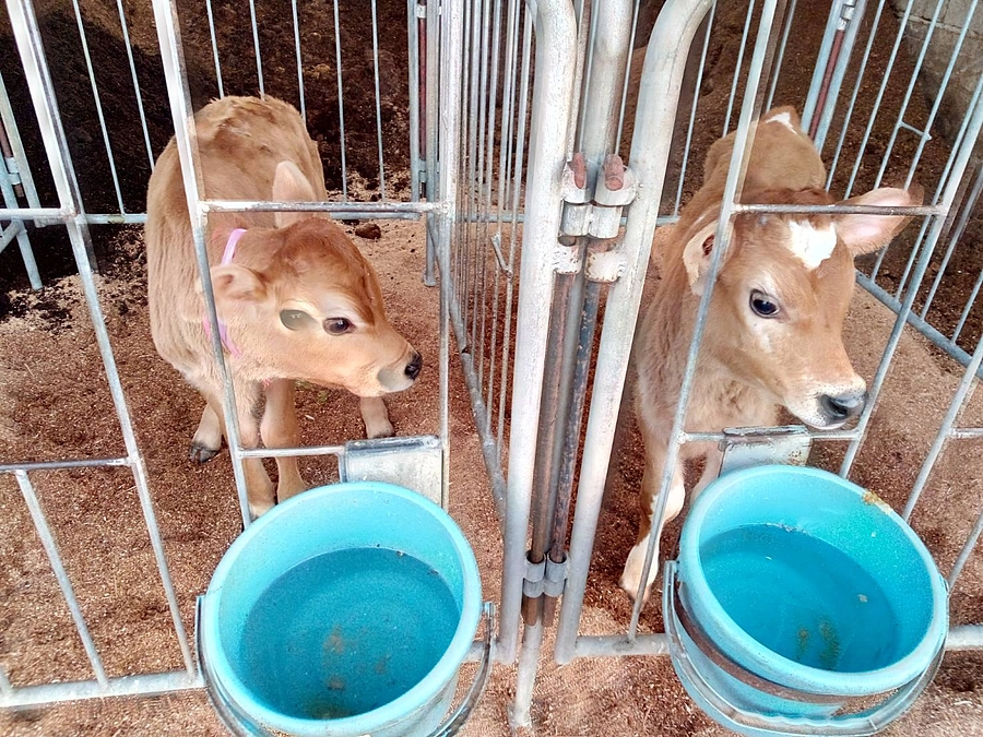 お待たせしました