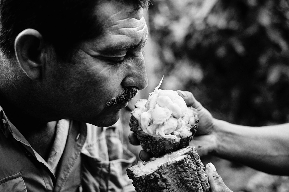 【残り2日】（いただいた応援メッセージのご紹介）