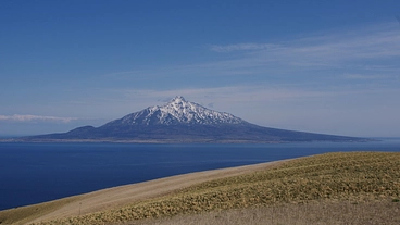 礼文島をトレッキングして景色やたくさんの高山植物に会いに行こう のトップ画像