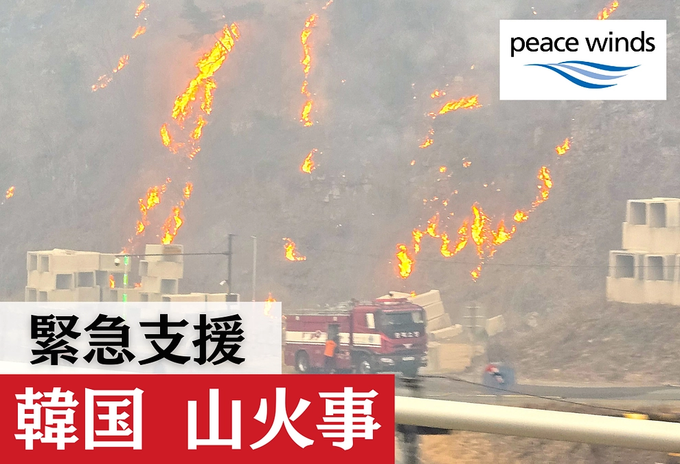 【韓国 山火事被害へのご支援を】ピースウィンズは緊急支援を開始しています
