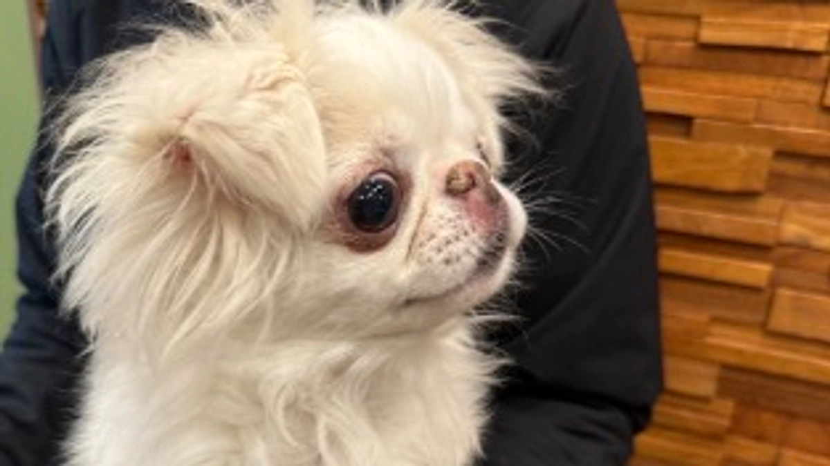 残り11日🐶‼️