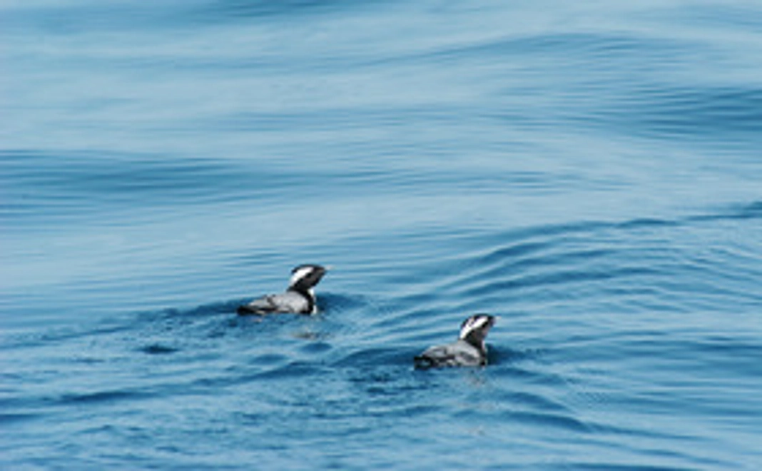 【リターン品あり】写真コース