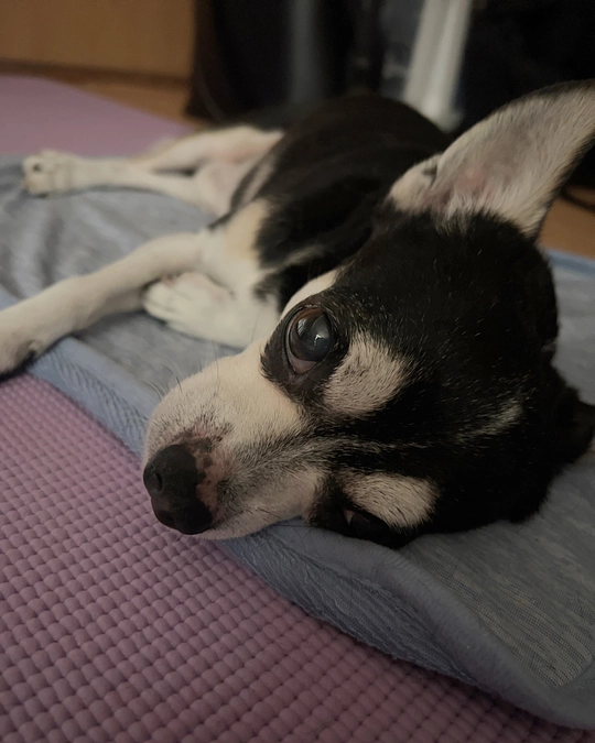 8月になりました🌻🍉