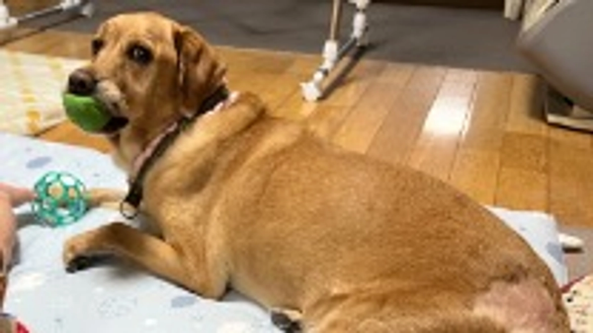 変わらない食欲。