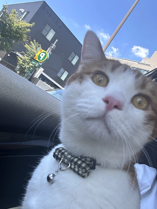 経過観察88日目