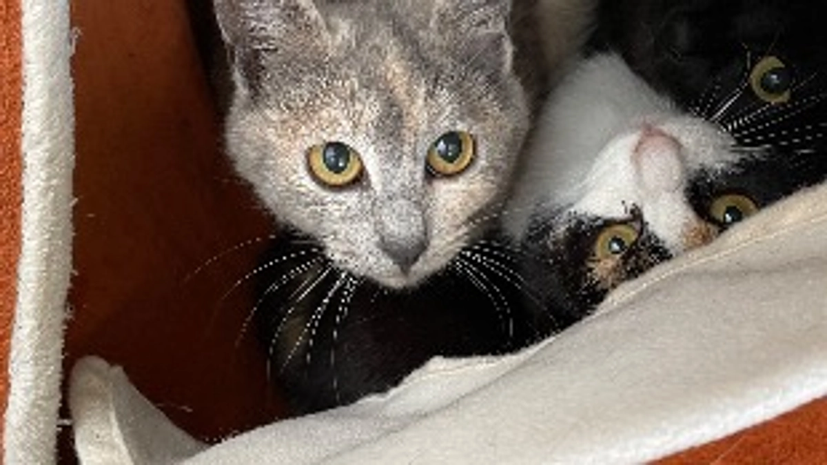 目標金額達成をすることが出来ました(；；)！！