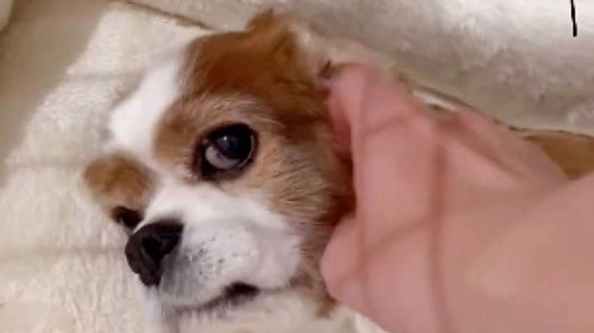 あたたかい応援のお言葉とご支援に感謝しております