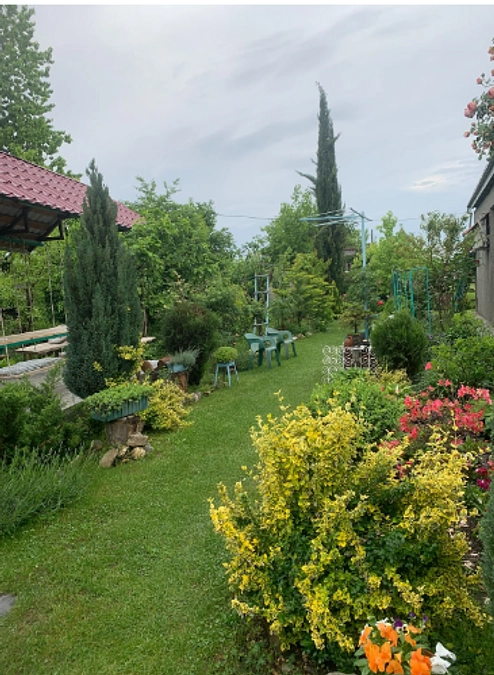 【クラファン残り35日】クラファンの裏話。信頼とお金