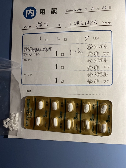 2回目抗がん剤治療実施しました