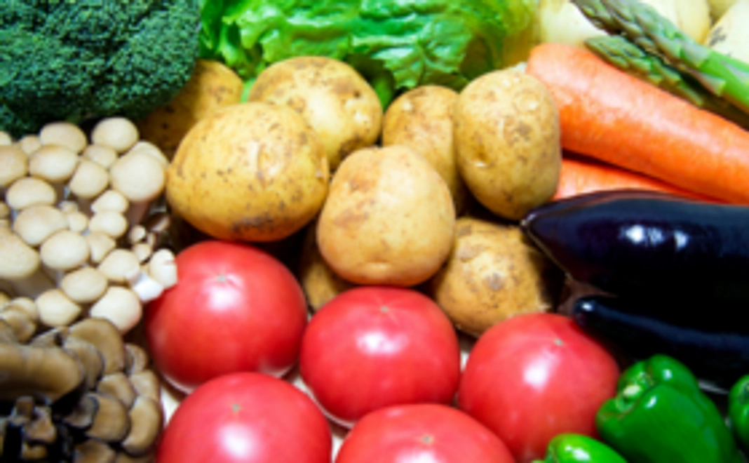 季節のお野菜のお届け〜3種2人前セット〜